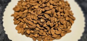 Kashmiri Mamra Almond Nuts
