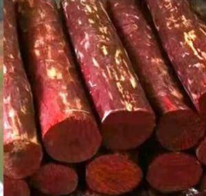 Natural Red Sandalwood Logs