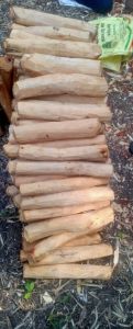 Natural White Sandalwood Logs