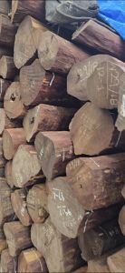 Natural White Sandalwood Logs