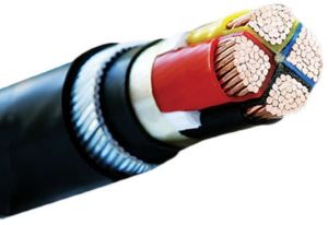 10 Sq Mm Polycab LV Power Cable