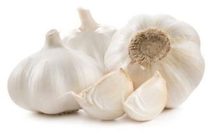 Organic Fresh Garlic