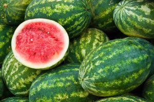 Natural Fresh Water Melon