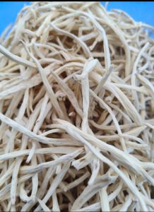 White Natural Safed Musli Root