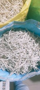 White Natural Safed Musli Root