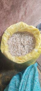 White Natural Safed Musli Root