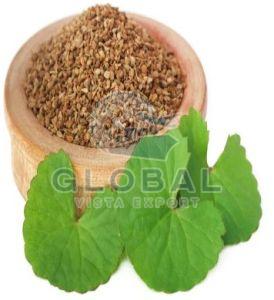 A Grade Carom Seeds