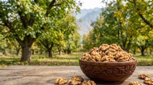 Whole Dry Walnut Kernels