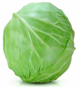 Fresh Green Cabbage