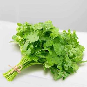 A Grade Fresh Coriander Leave