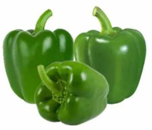 A Grade Fresh Green Capsicum