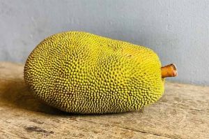 A Grade Fresh Jack Fruit
