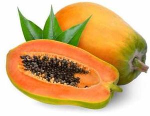 A Grade Fresh Papaya