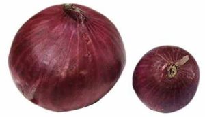 A Grade Fresh Red Onion