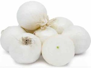 A Grade Fresh White Onion