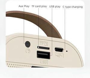 Mic With Bluetooth Speaker