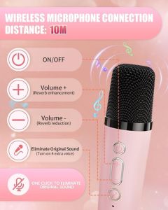 Mic With Bluetooth Speaker