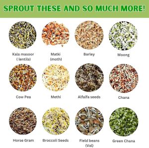 Sprout Maker Jar