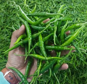 A Grade Fresh Green Chilli
