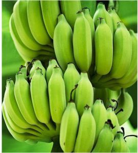 A Grade Raw Yelakki Banana