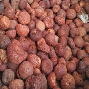 Bette Betel Nut