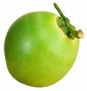 Large Tender Coconut