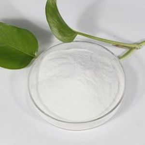 Hydroxypropyl Methyl Cellulose Powder