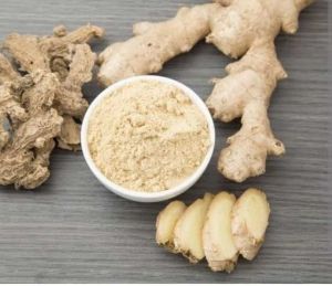 Dehydrated Ginger Powder