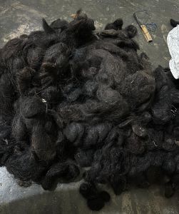 Black Goli Human Hair