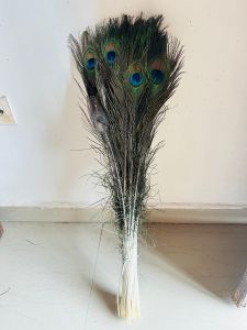 Natural Peacock Feathers