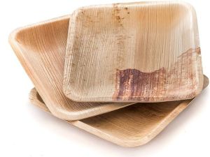 8 Inch Square Areca Leaf Disposable Plates