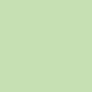 Vat Black 25 Olive T Pdr Textile Dye