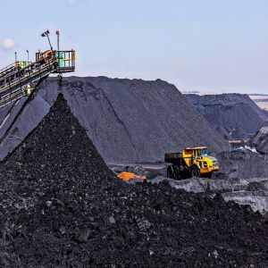 Coal Bidding Services