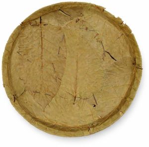 Sal Leaf Plates 100 % Natural