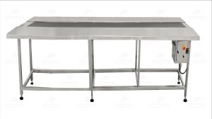 Packing Conveyors