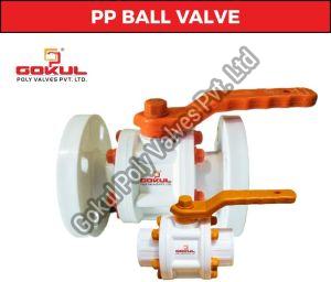 Polypropylene Foot Valve
