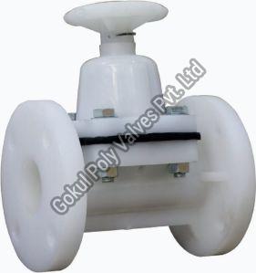 Screwed End PP Foot Valve