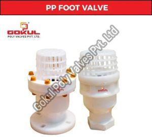 PP Flange End Foot Valve