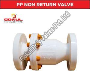 PP Non Return Check Valve