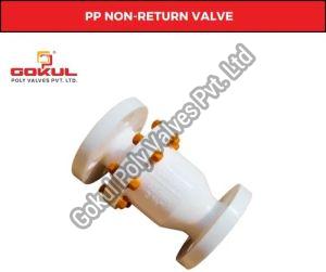 PP Non Return Valve Flange End