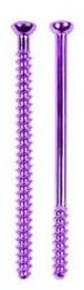 Bone Screws