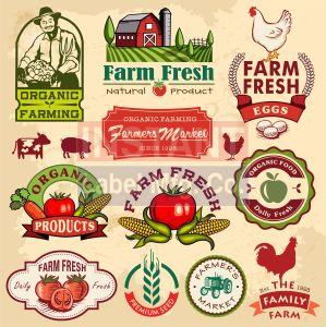 Food Packaging Stickers