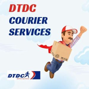 DTDC Parcel Courier Services