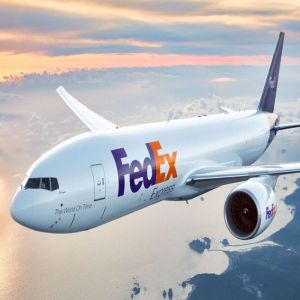 Fedex Global Courier Services