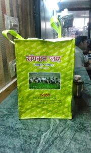 BOPP Laminate Box Bag
