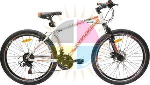 Cycle Decals
