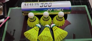 Badminton Shuttlecocks