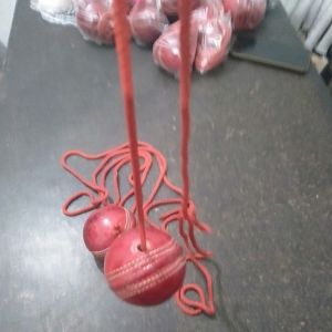 Cricket Practice Hanging Balls