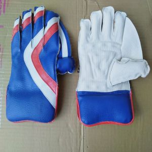 Cricket Wicket Keeping Gloves
