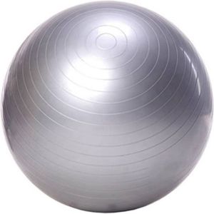 Gym Fitness Balls